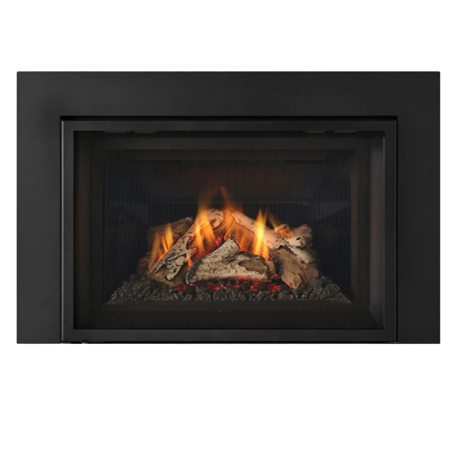 Atmosphere gas insert
