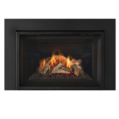 Atmosphere gas insert