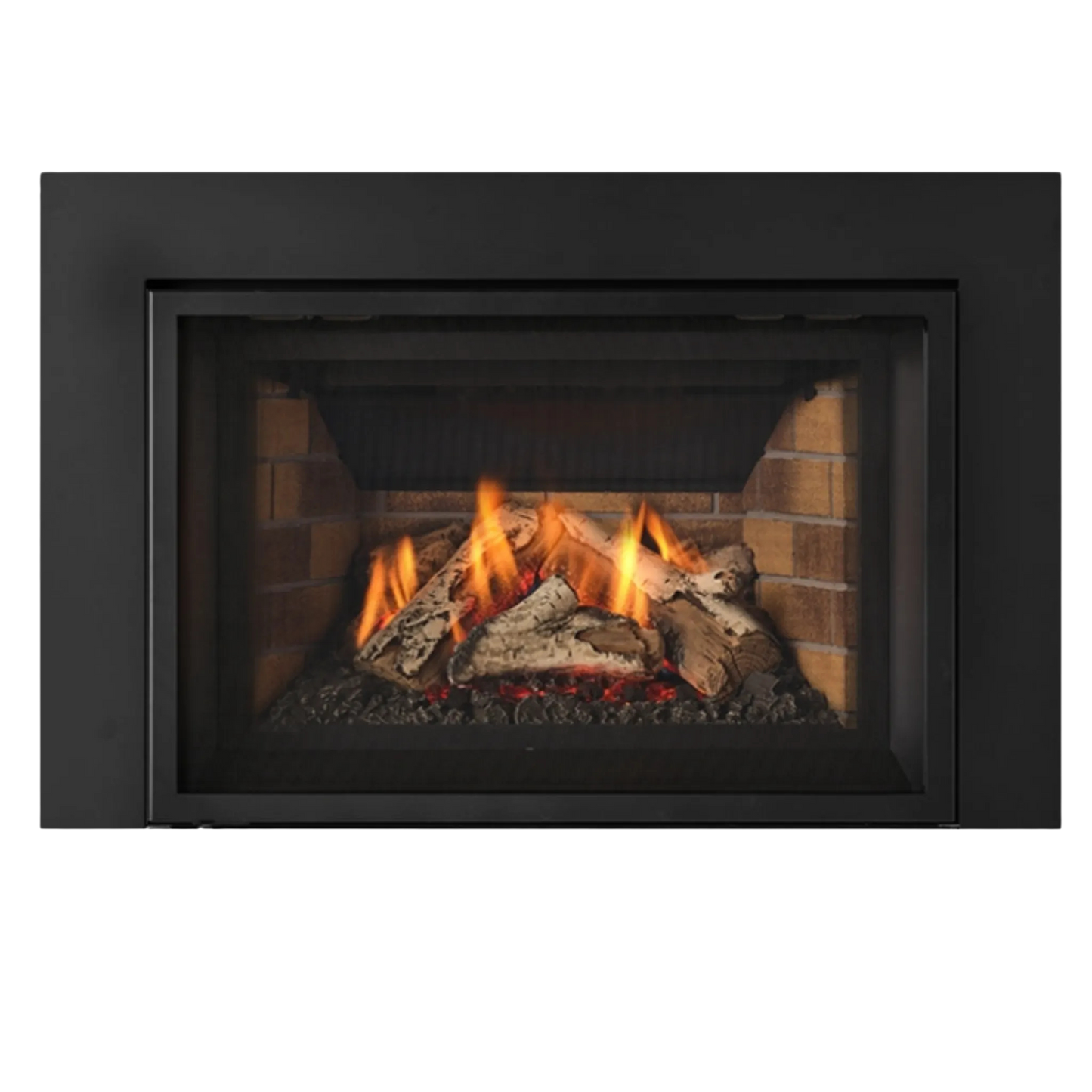 Atmosphere gas insert