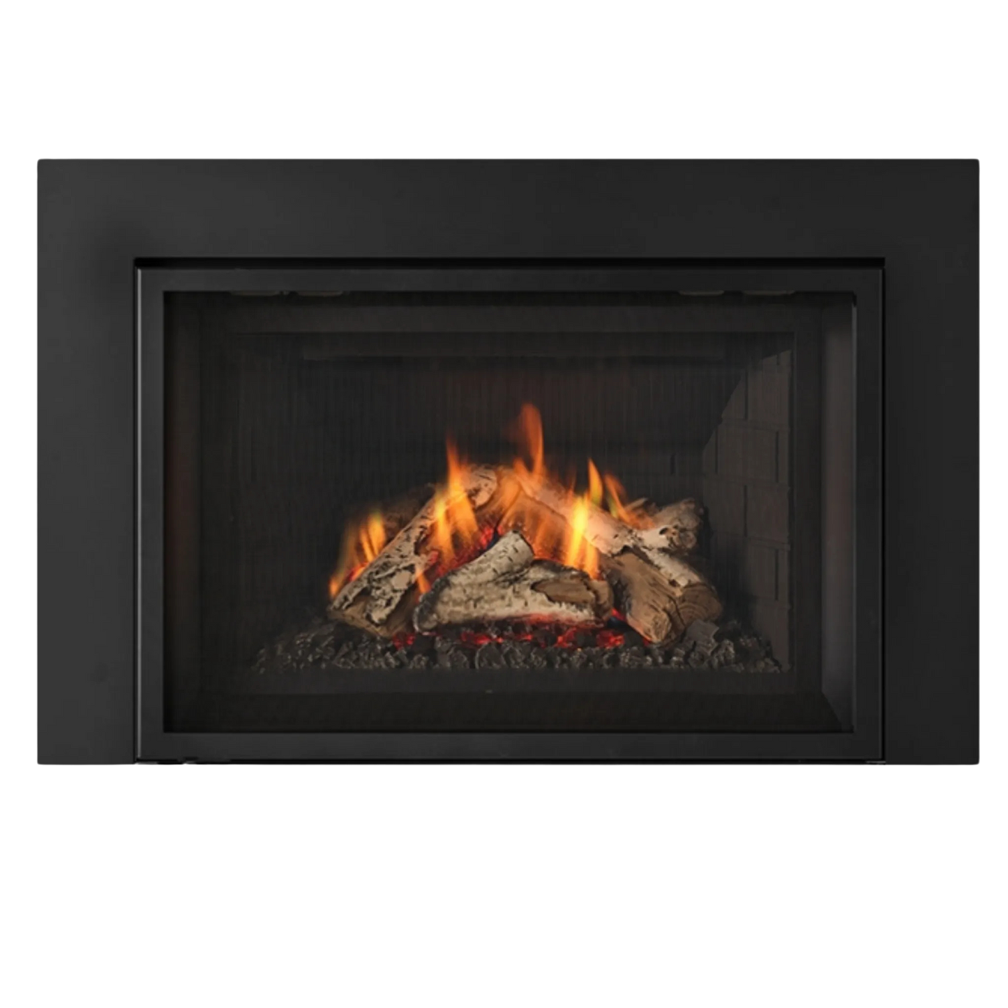 Atmosphere gas insert