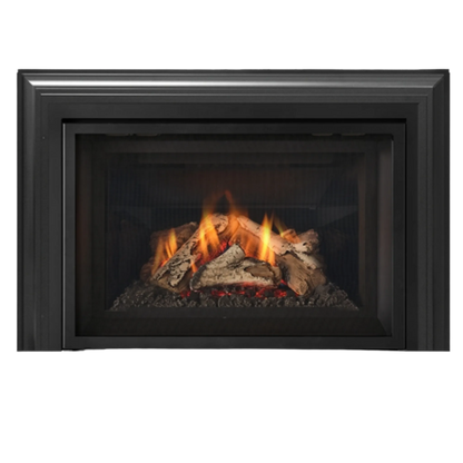 Atmosphere gas insert