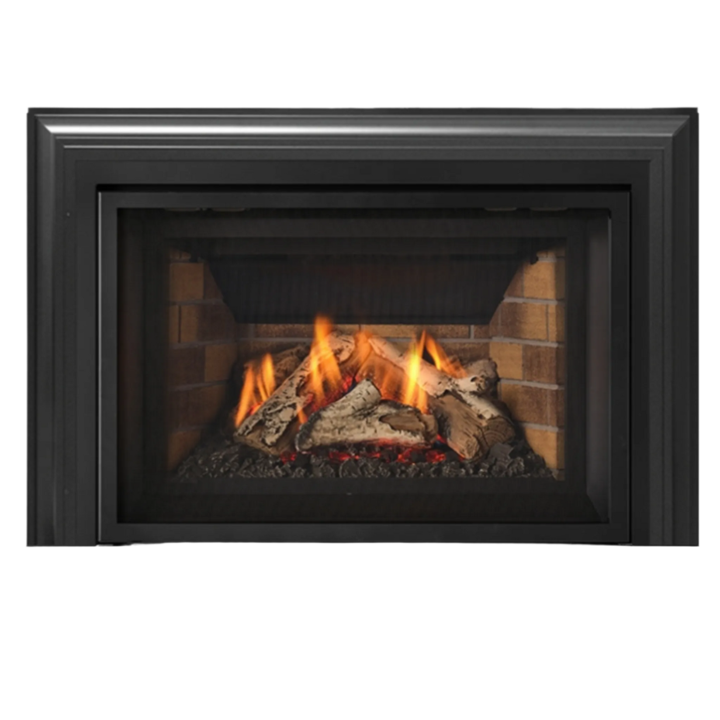 Atmosphere gas insert
