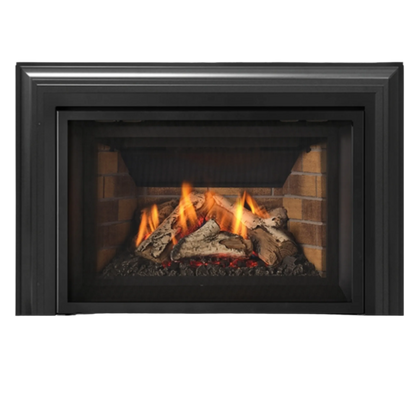 Atmosphere gas insert