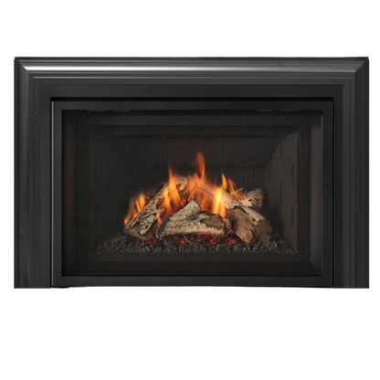Atmosphere gas insert