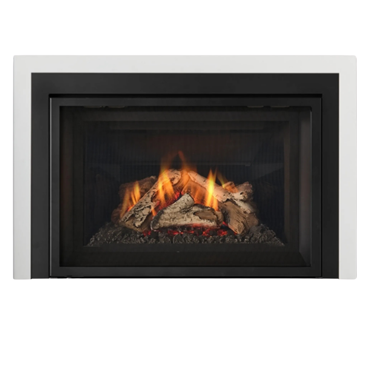 Atmosphere gas insert