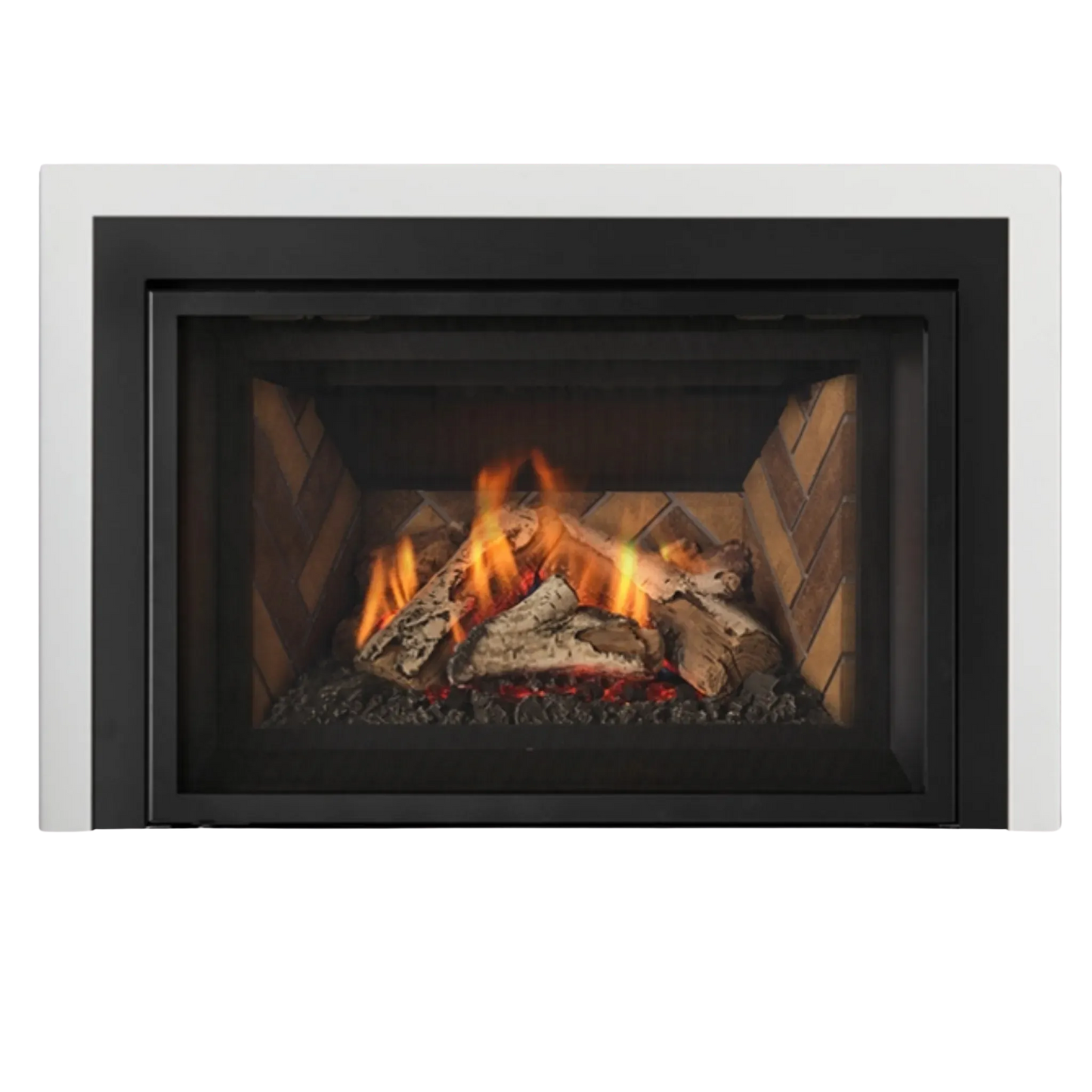 Atmosphere gas insert