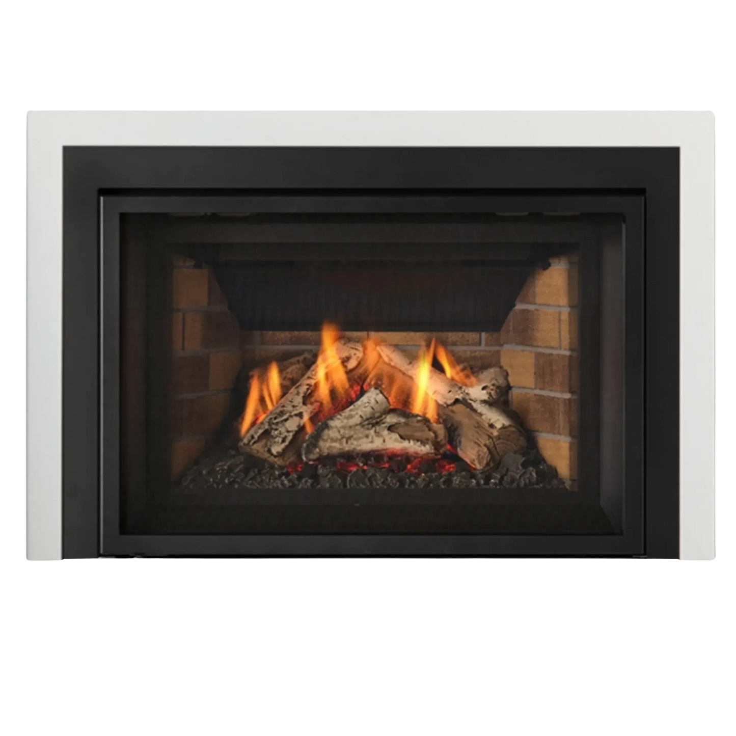Atmosphere gas insert