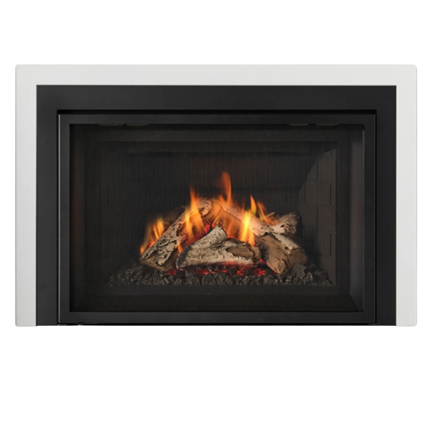 Atmosphere gas insert