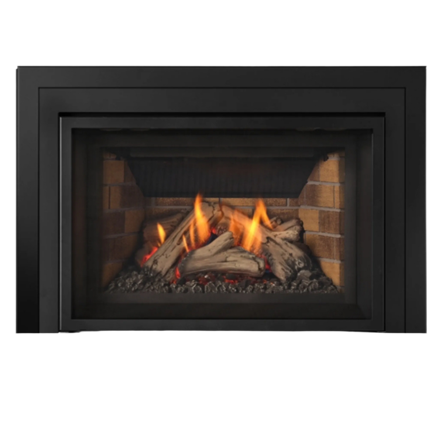 Atmosphere gas insert