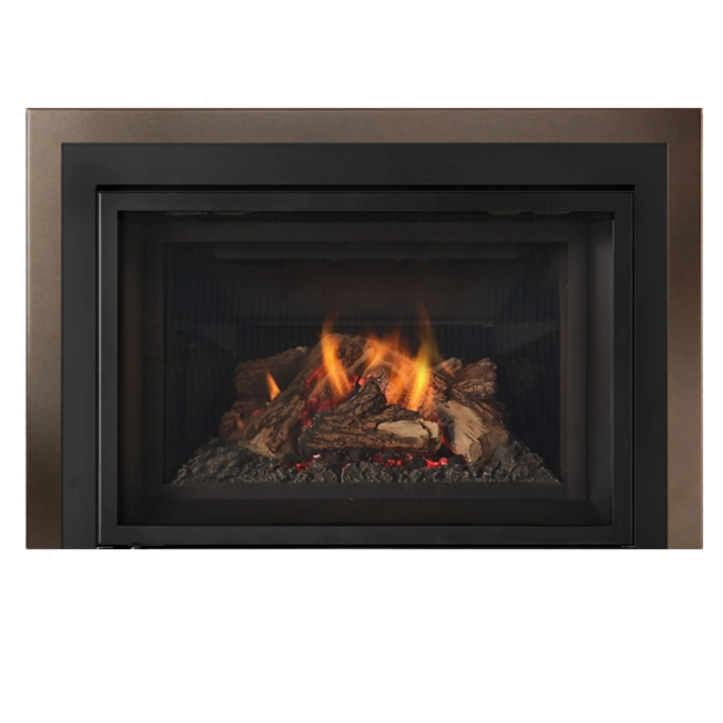 Atmosphere gas insert