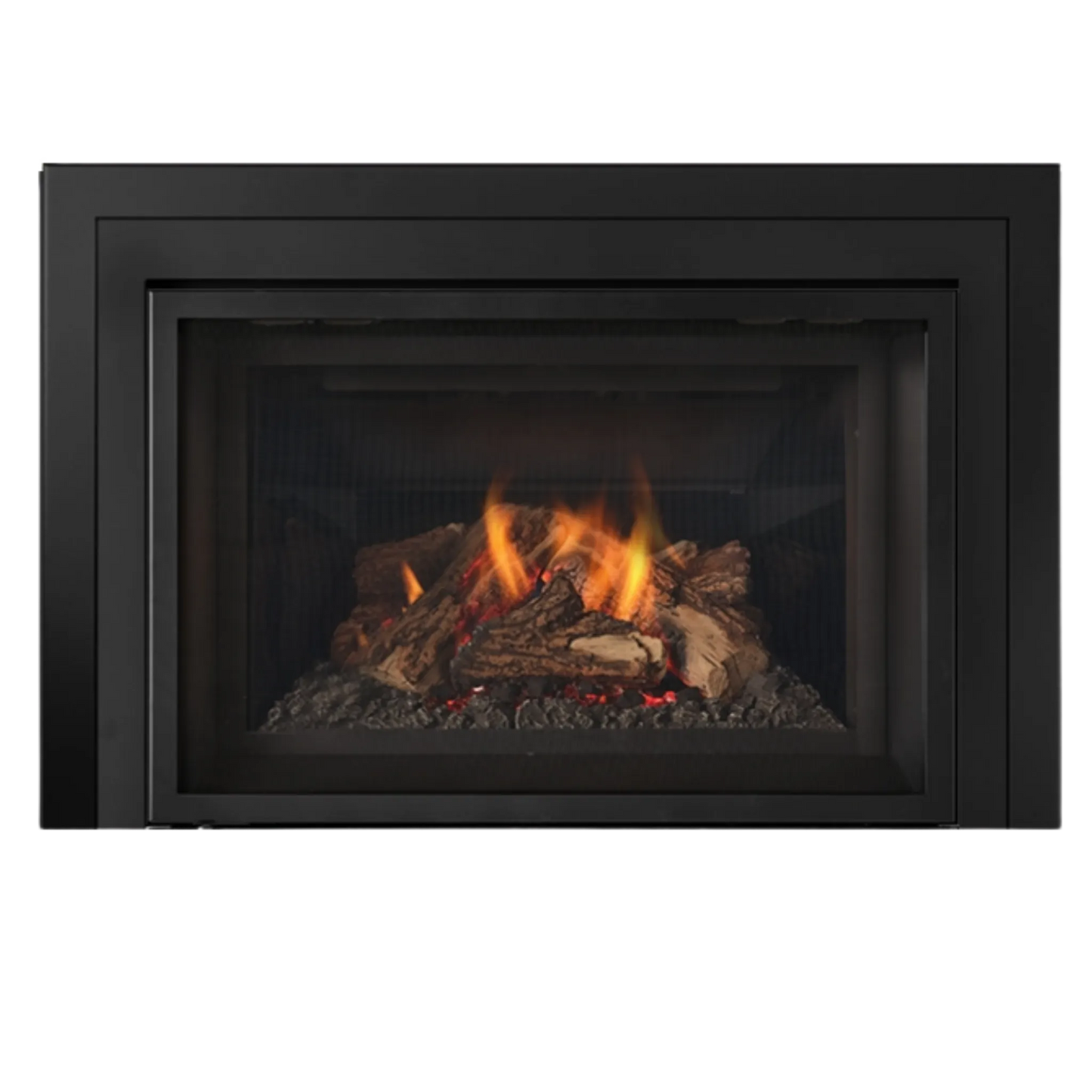 Atmosphere gas insert