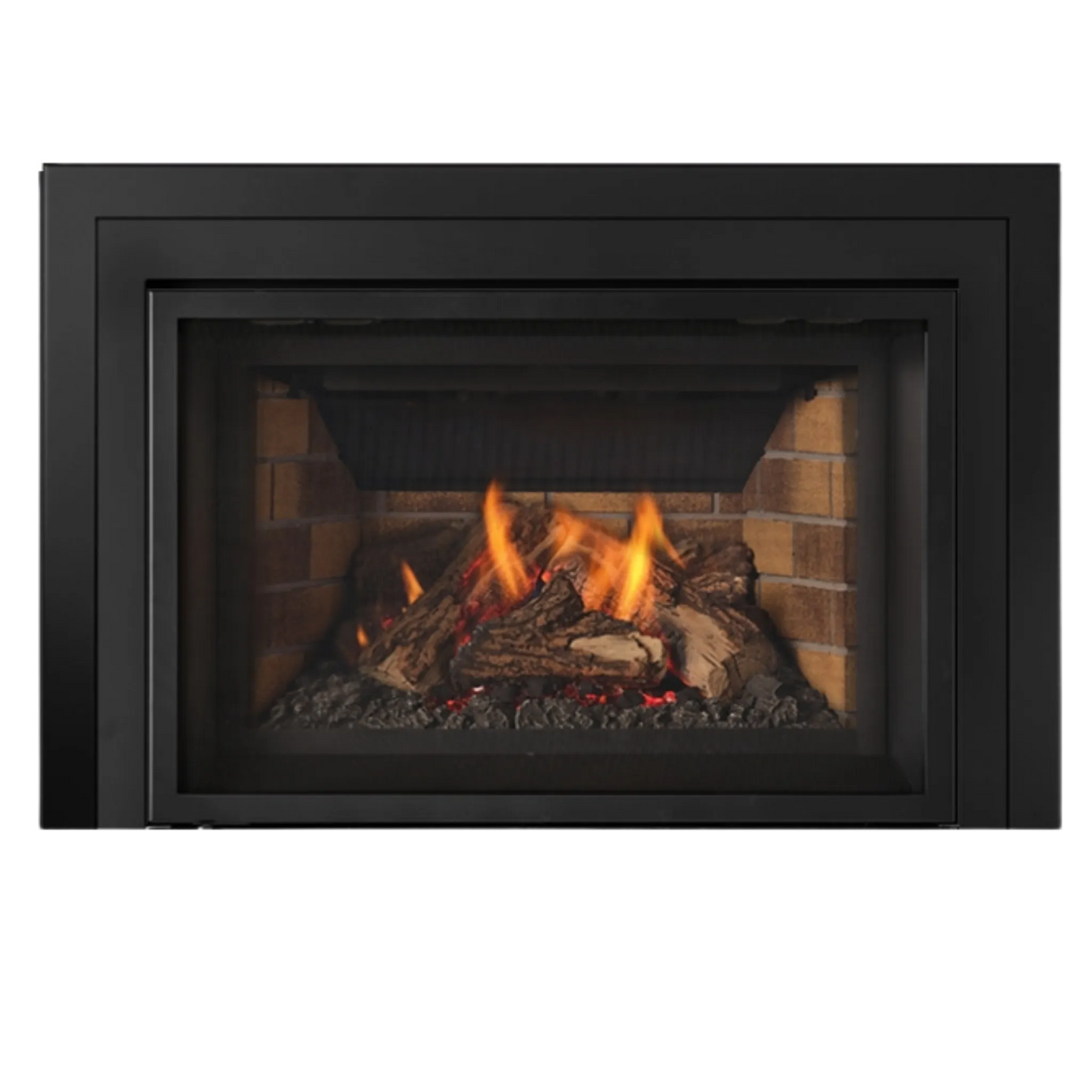 Atmosphere gas insert