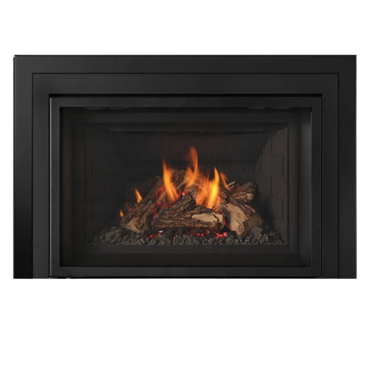 Atmosphere gas insert