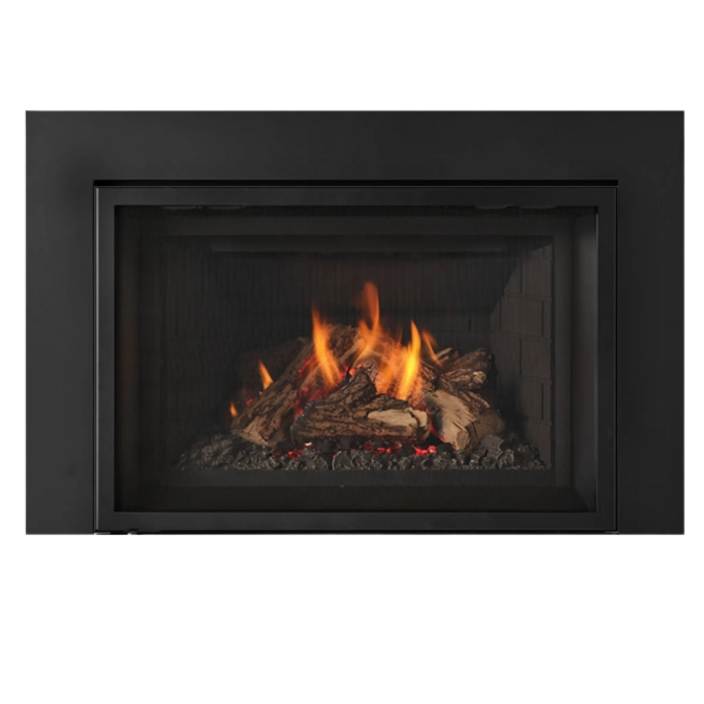 Atmosphere gas insert