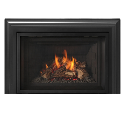 Atmosphere gas insert