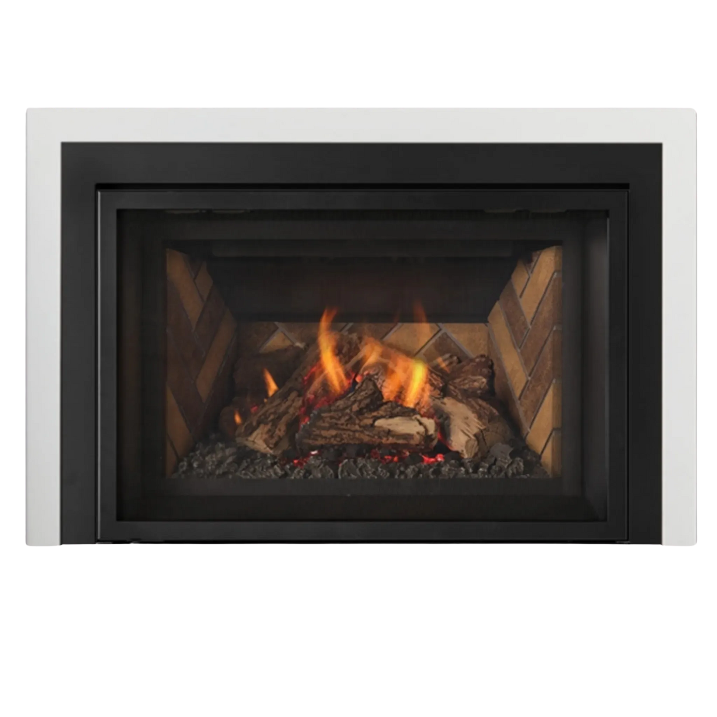Atmosphere gas insert
