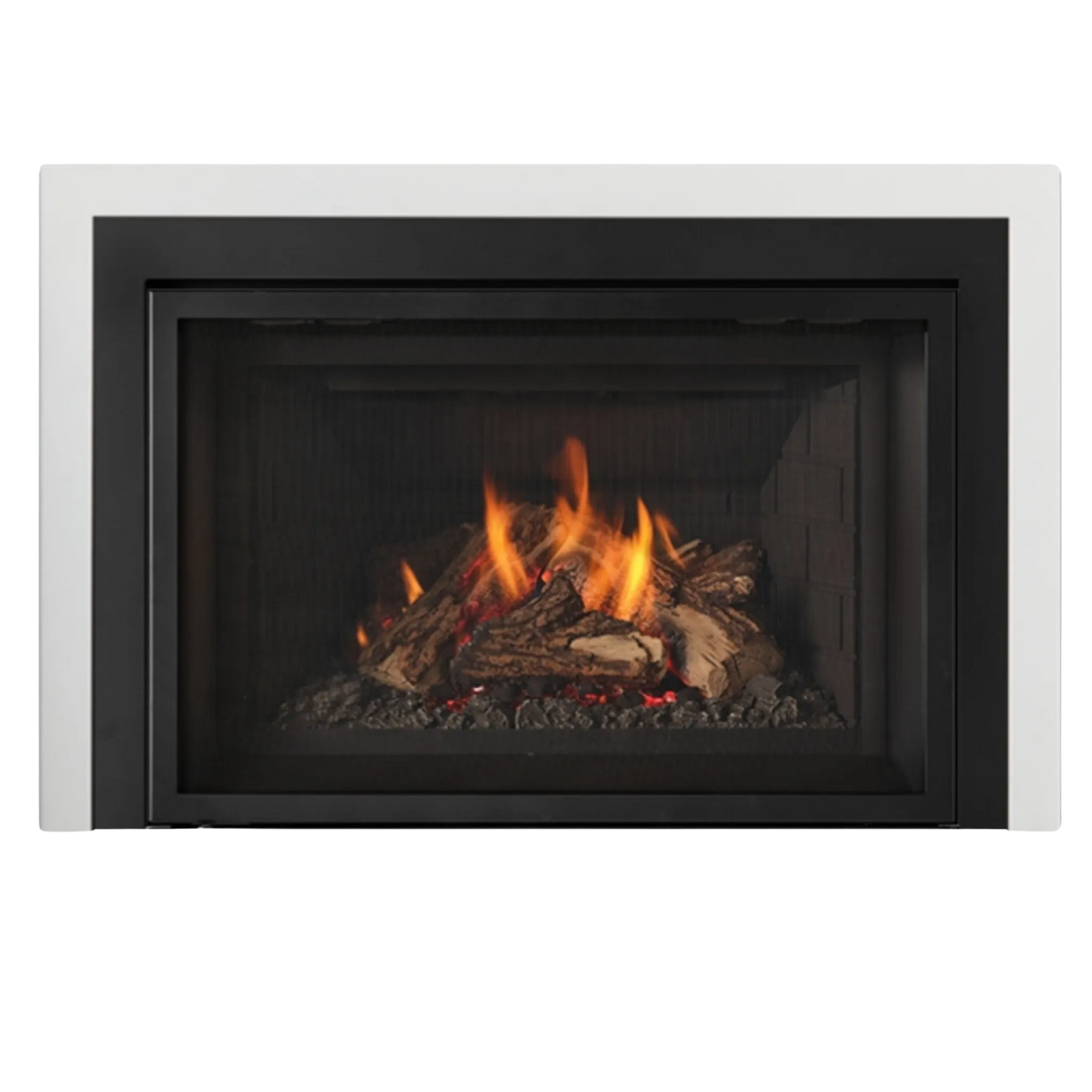 Atmosphere gas insert