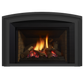 Liberty gas insert