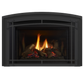 Liberty gas insert
