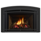 Liberty gas insert