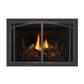 Liberty gas insert