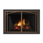 Liberty gas insert