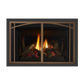 Liberty gas insert