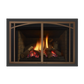 Liberty gas insert