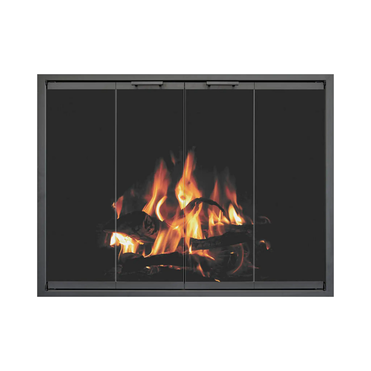 Traditional fireplace doors